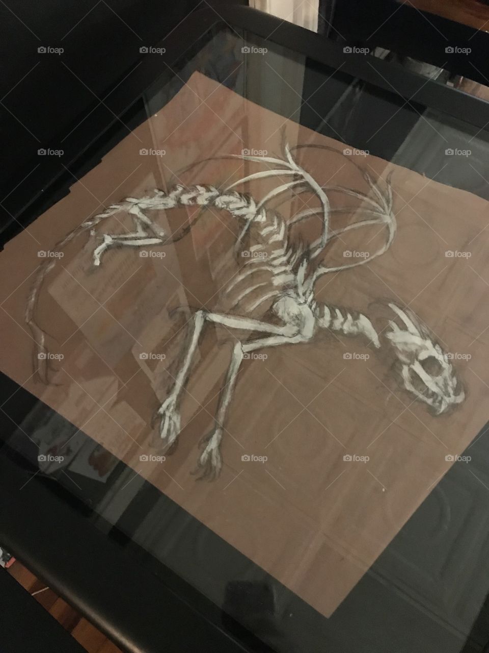 Charcoal sketch of dragon skeleton under glass top table
