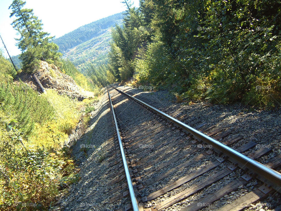shadows tracks wilderness railroad by markworld