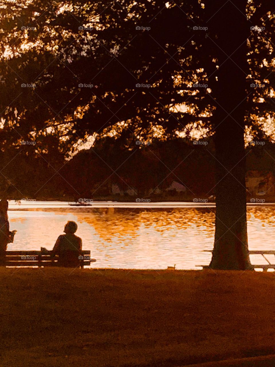 Neighborhood lake 