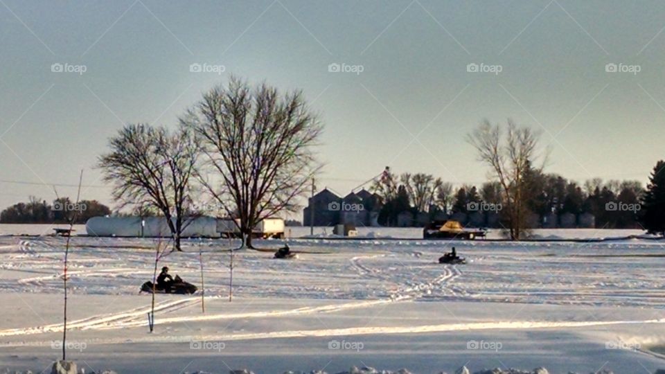 Winter, Tree, Snow, Landscape, Cold