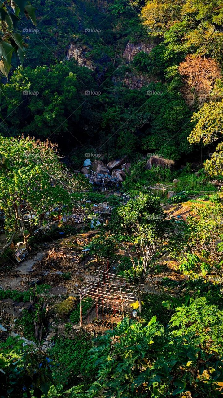 There are several small farmlands on the side of the mountain, and some of them have set up bamboo frames.