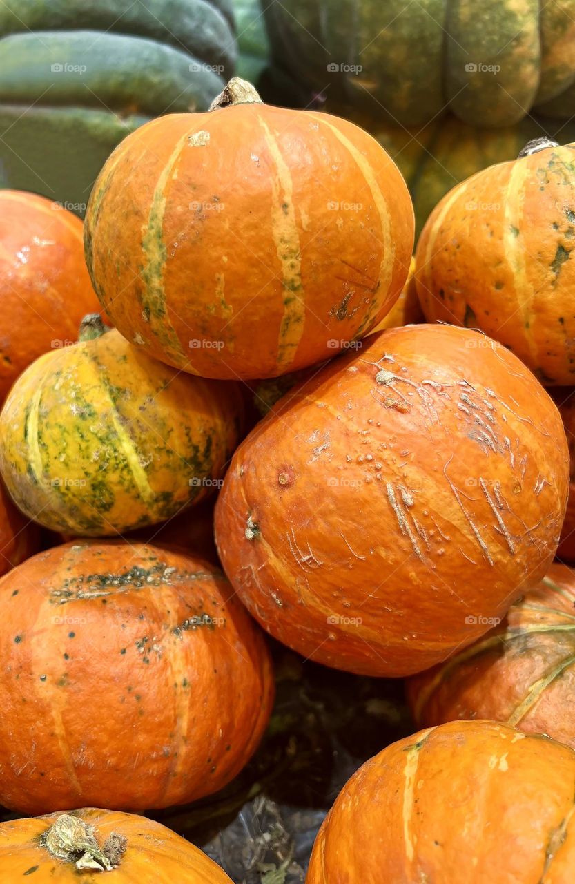 Orange pumpkins close up. Autumn. Halloween. Background