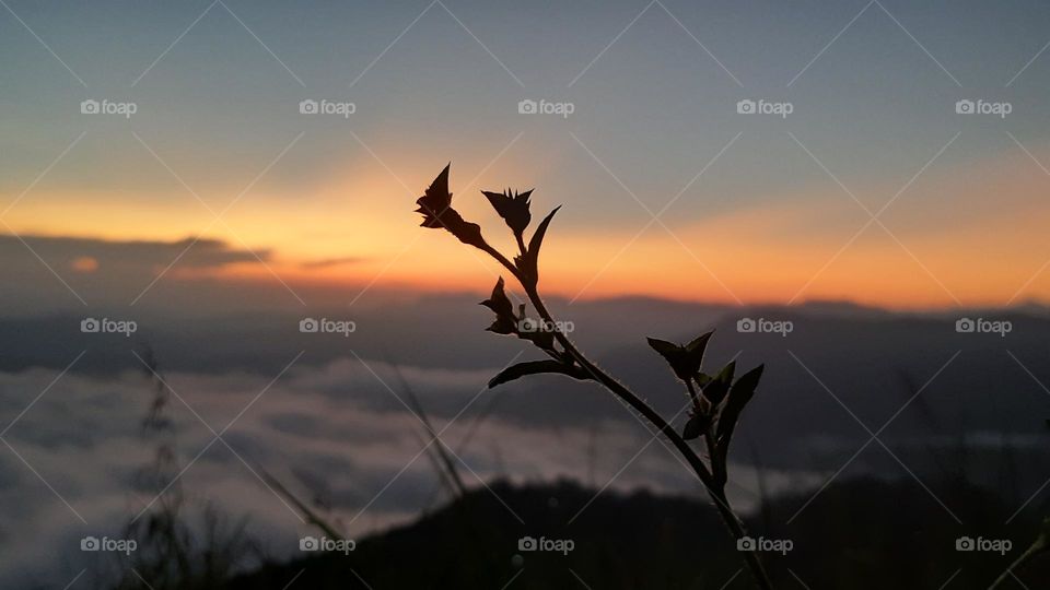 i took this picture when i do camp upon the mountain.