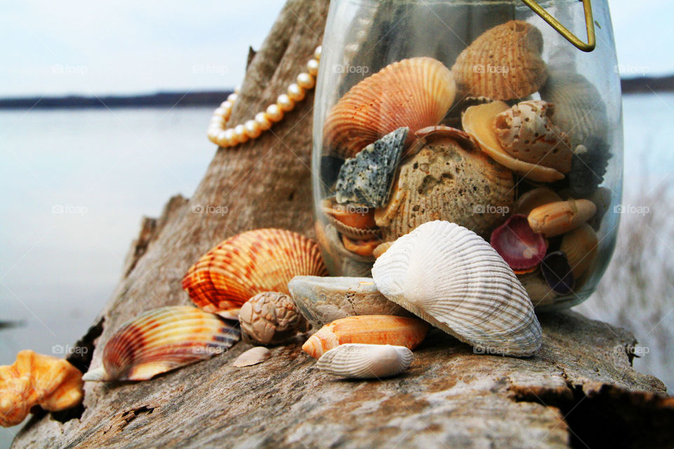 Summer Collection ( Series )