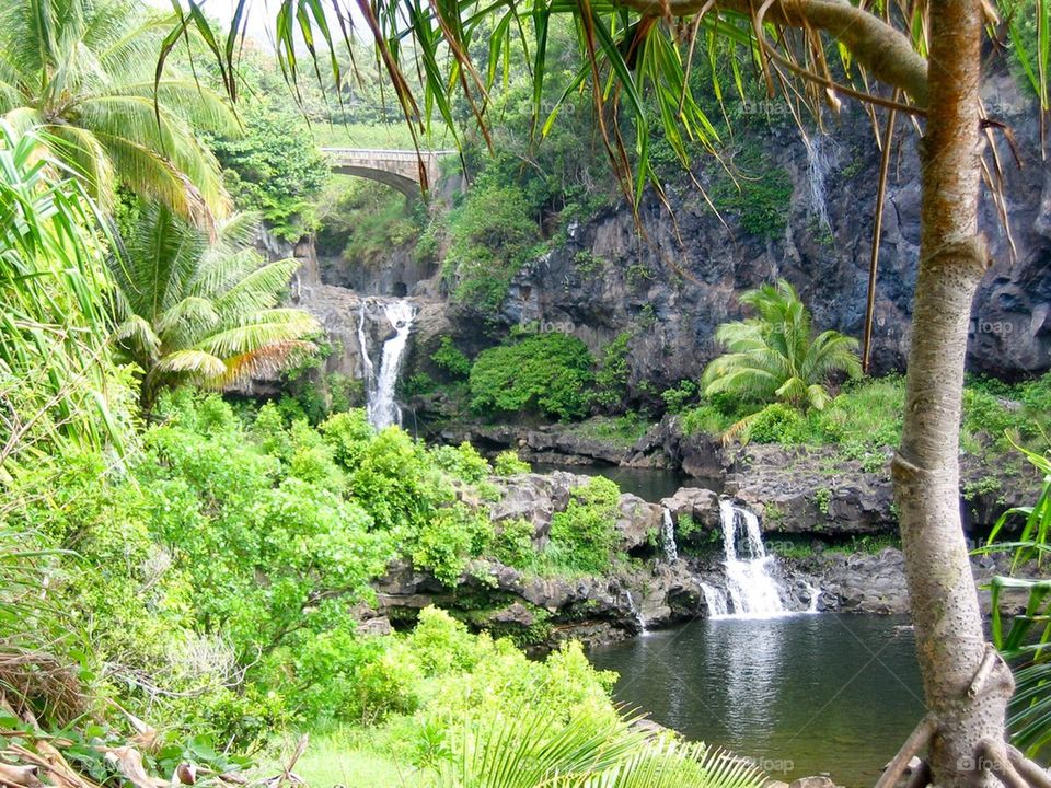 Tropical waterfall 