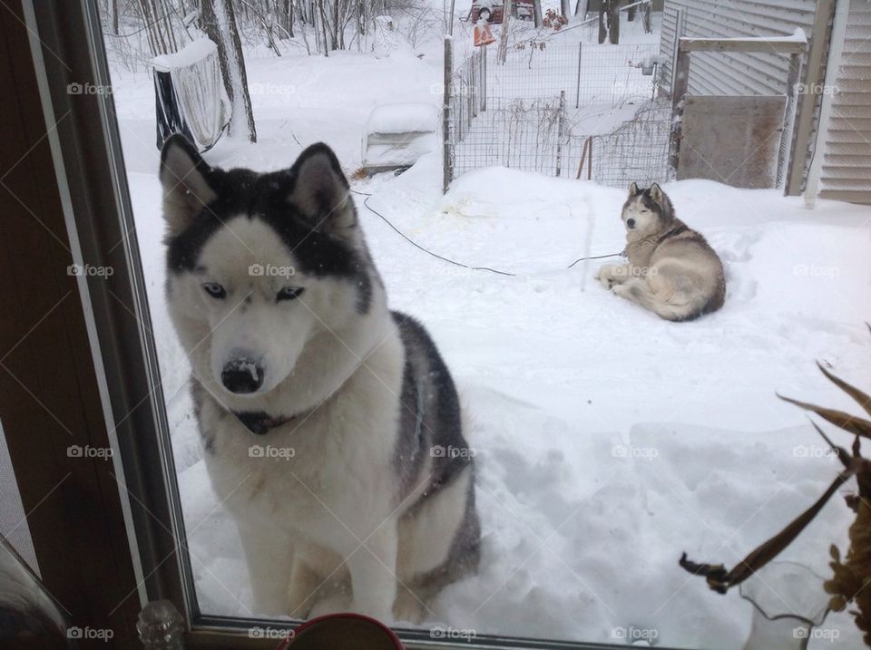 Can I come inside yet?