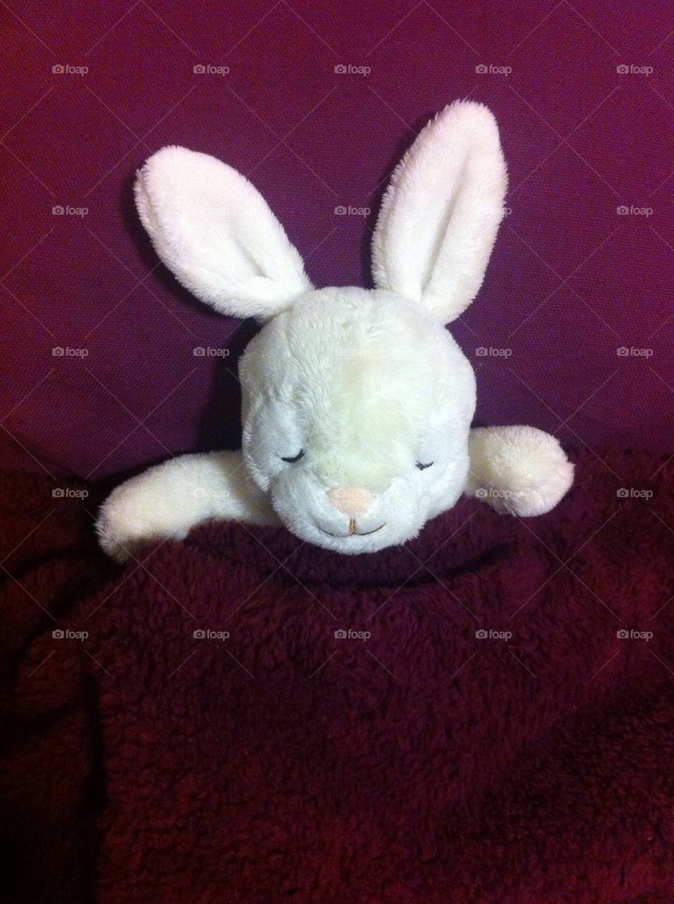 cute rabbit bunny plushie by Petalskull