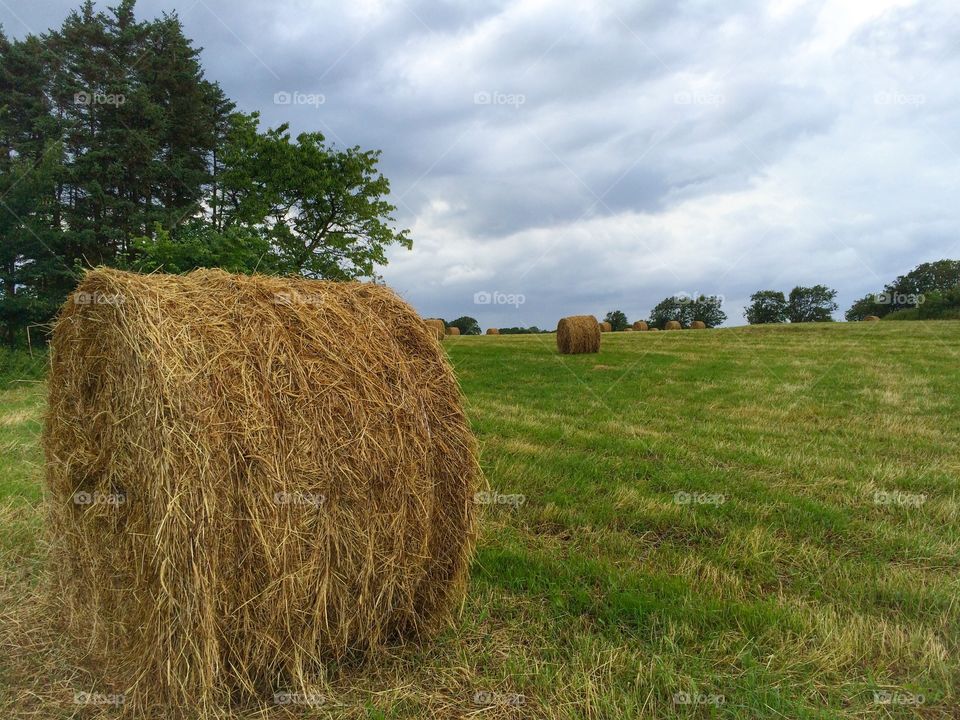 Hay bales