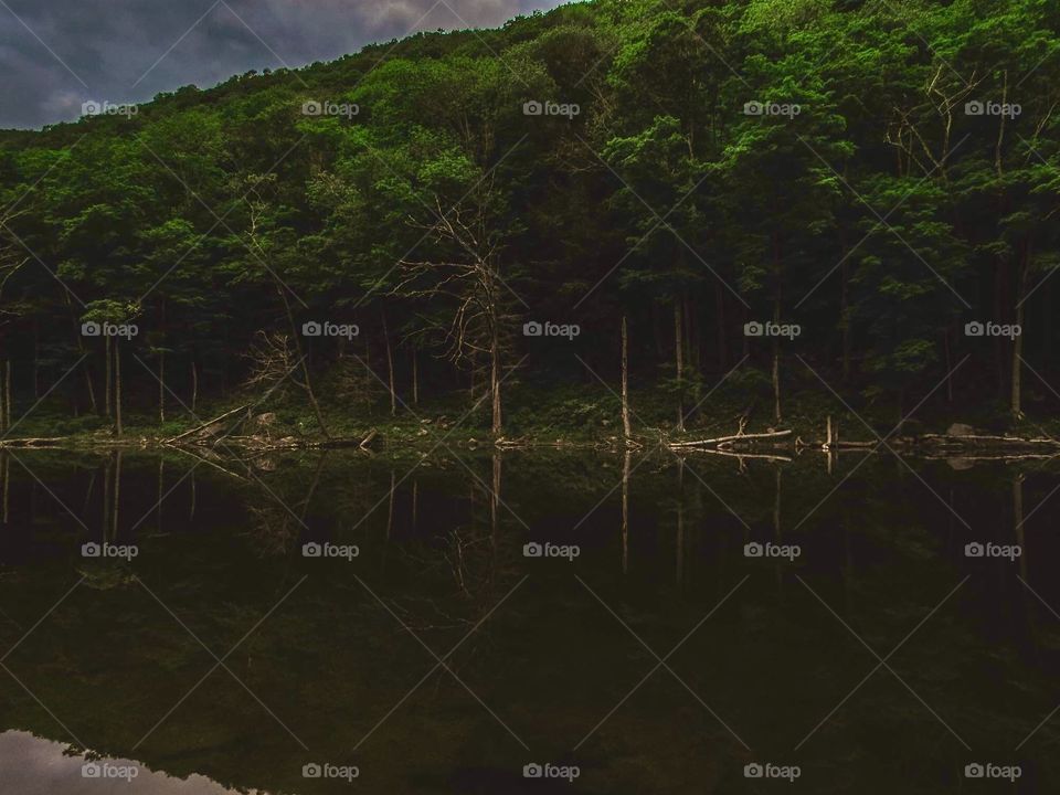 Devils Tombstone New York, wildlife, lake, grass, nature, landscape, peaceful, road, clear water, water, like mirror, trees, mountains,