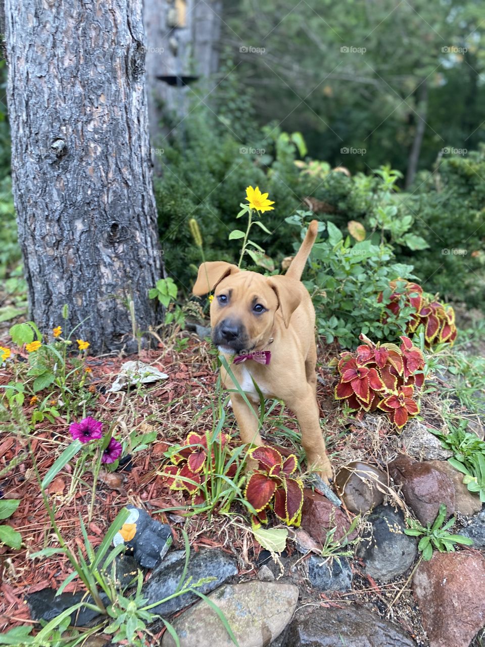 Stella smiling so pretty