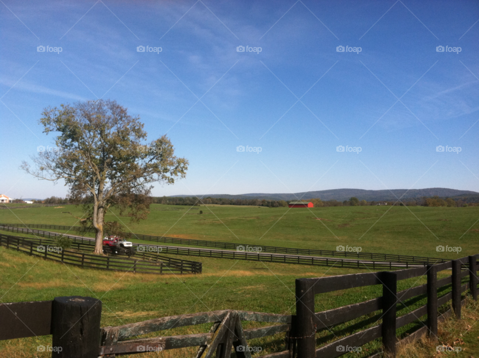 meadow country winchester va by kristineliz