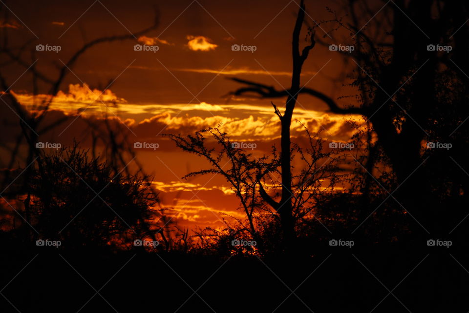 "Botswana Sunset"