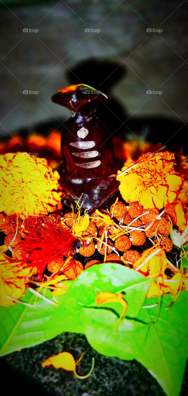 ꧁༒महादेव★༒࿐