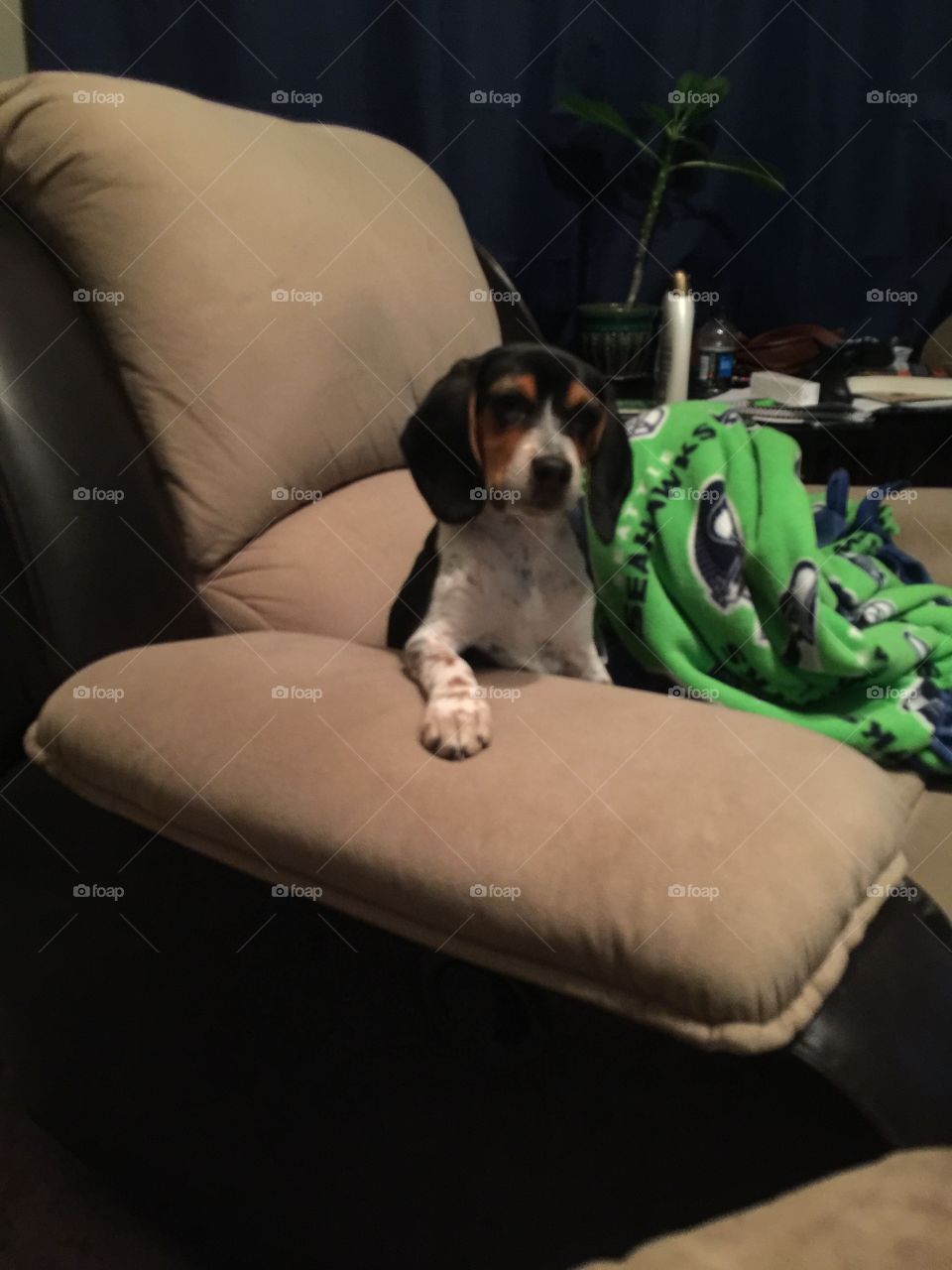 Sitting in her chair like a human 