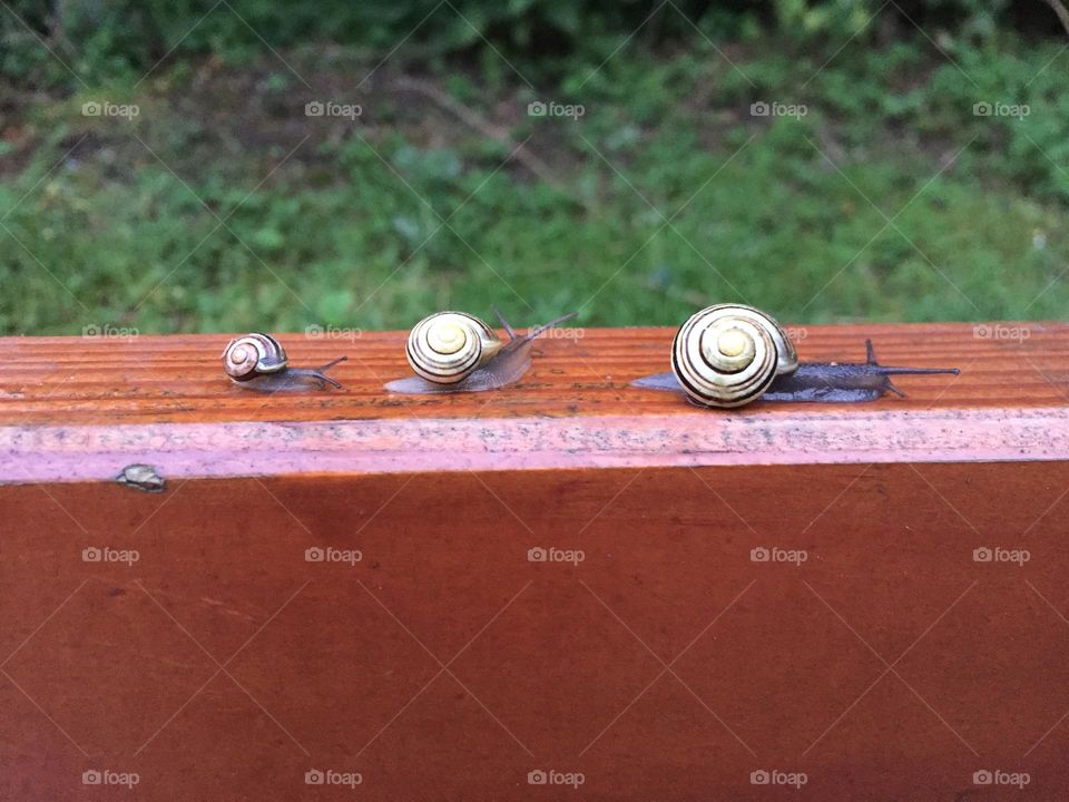 In der Reihe bleiben 