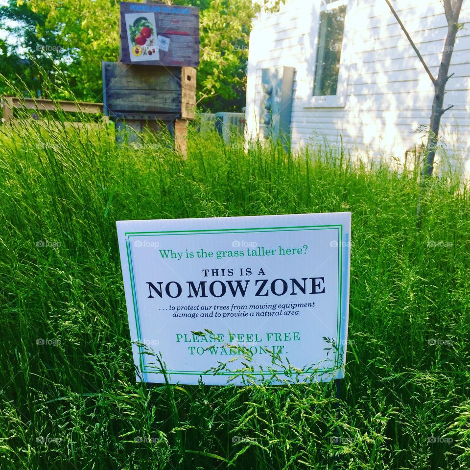 No mow zone