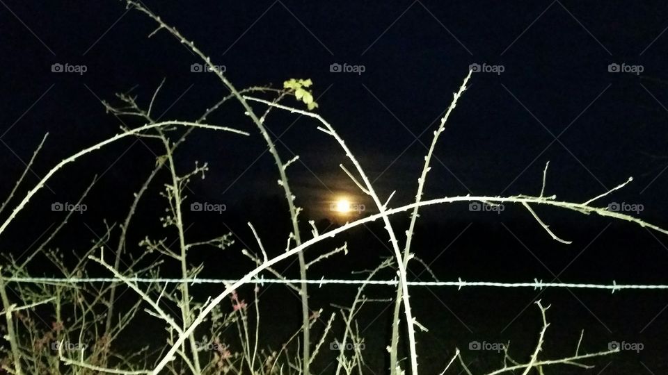 Moon through fence