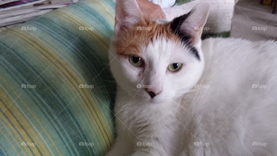 Marilyn is Hanging Out