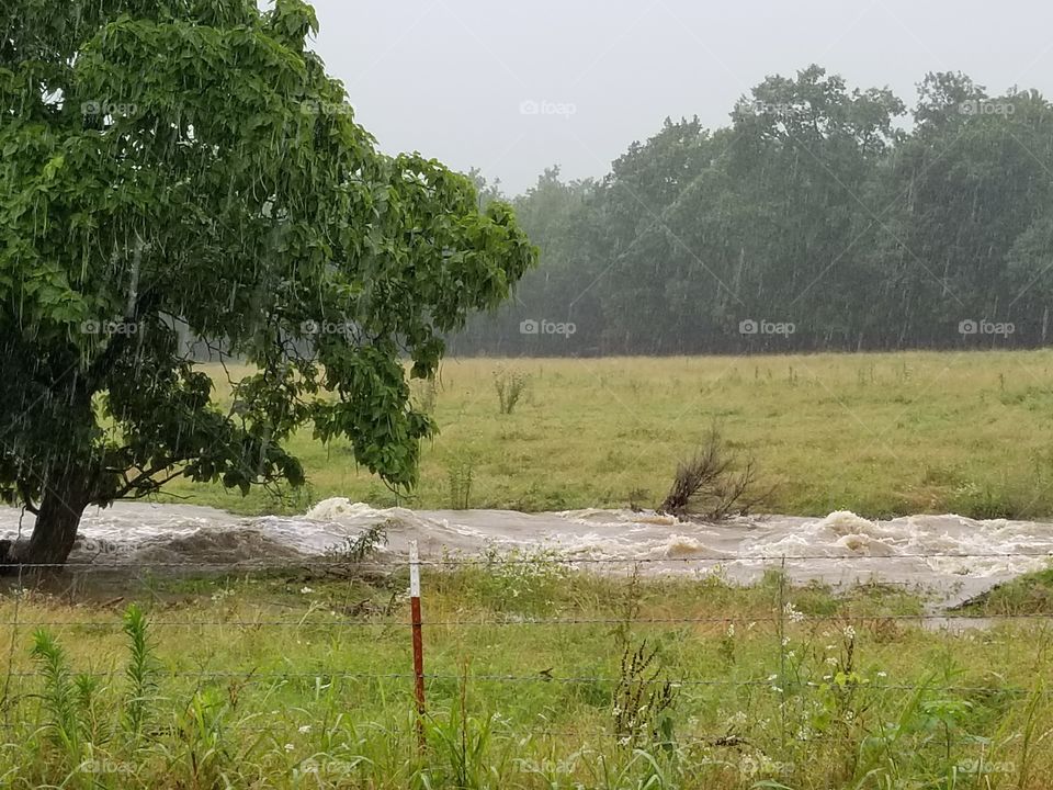 Morrow's Babbling Brook