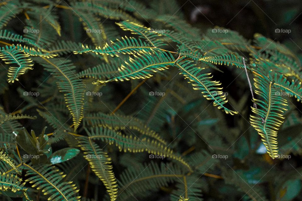 Planet earth and its beauties