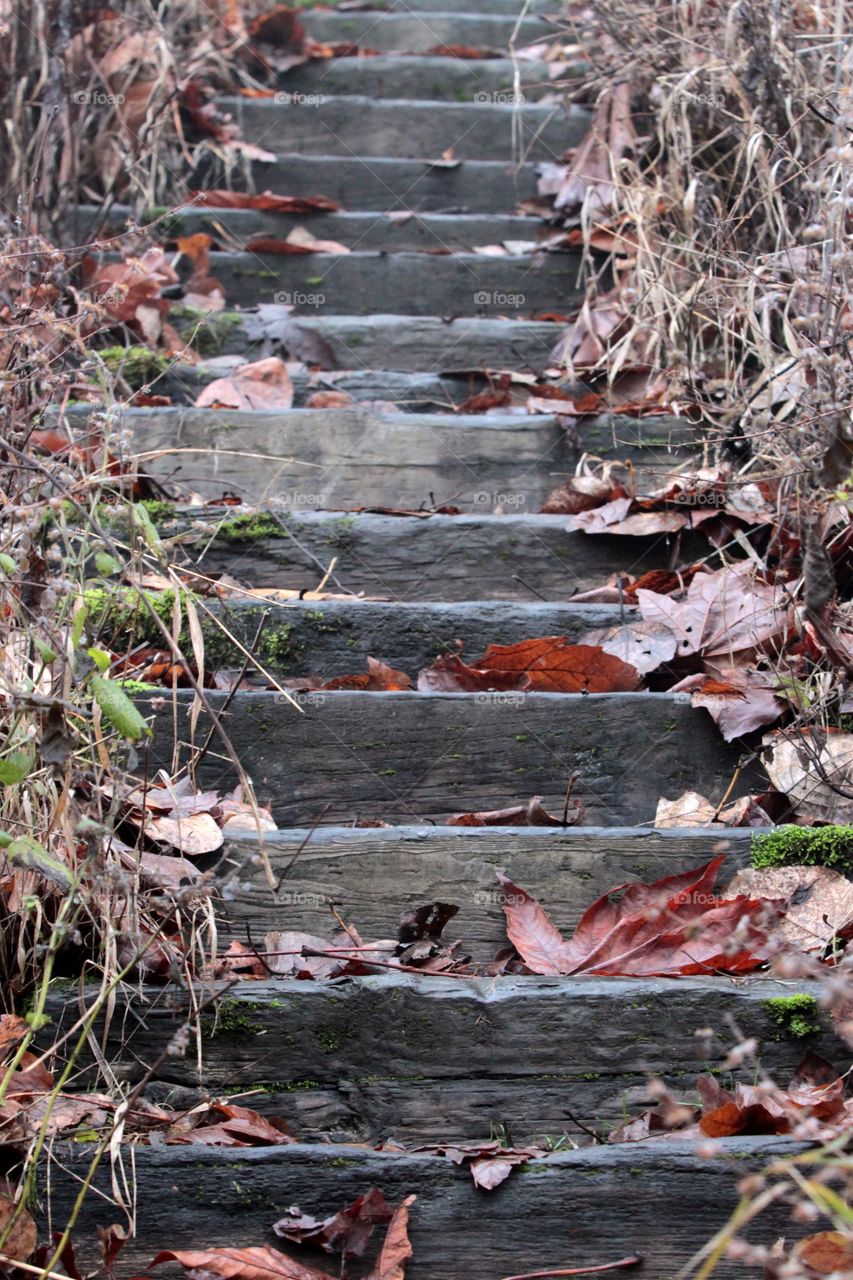 Rustic stairway 