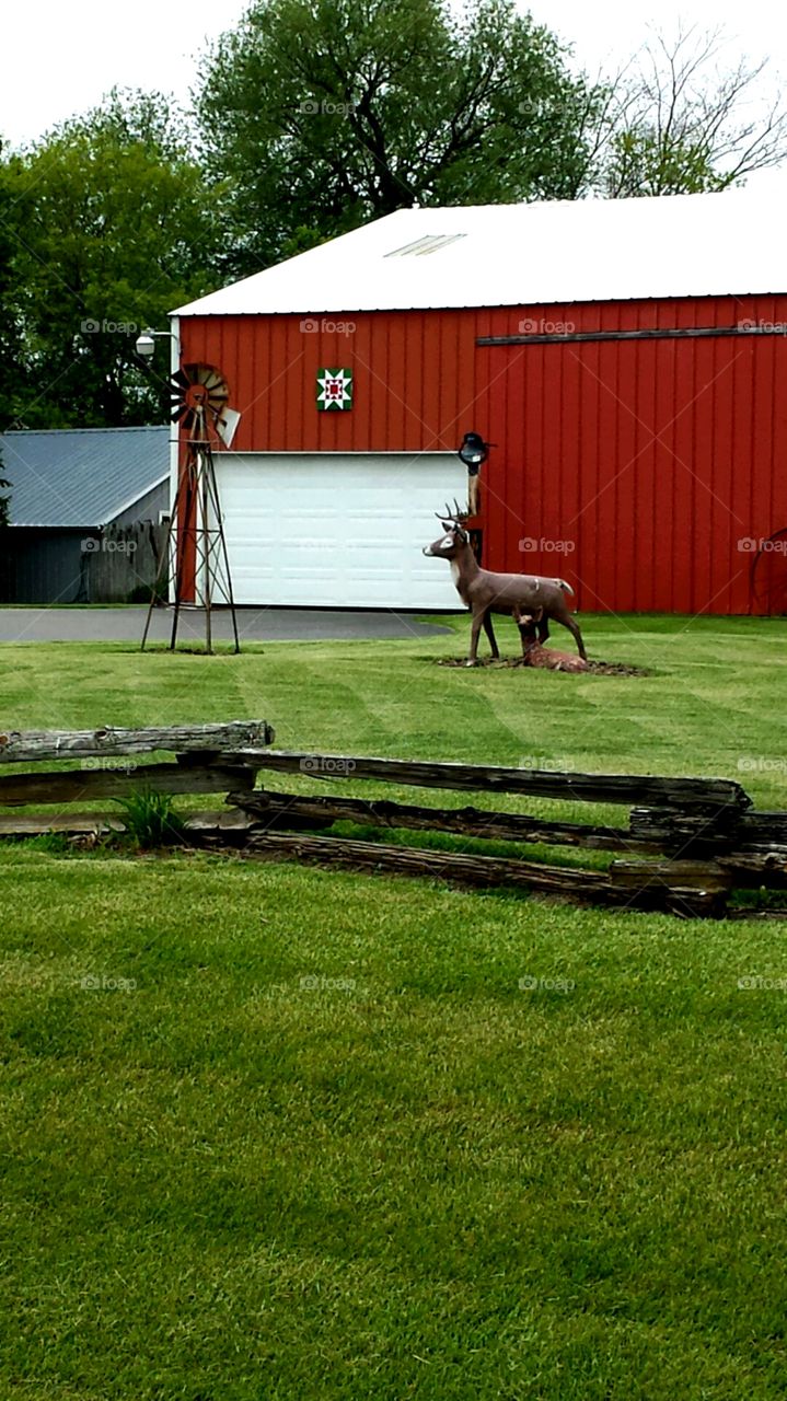 Barns. Whimsy 