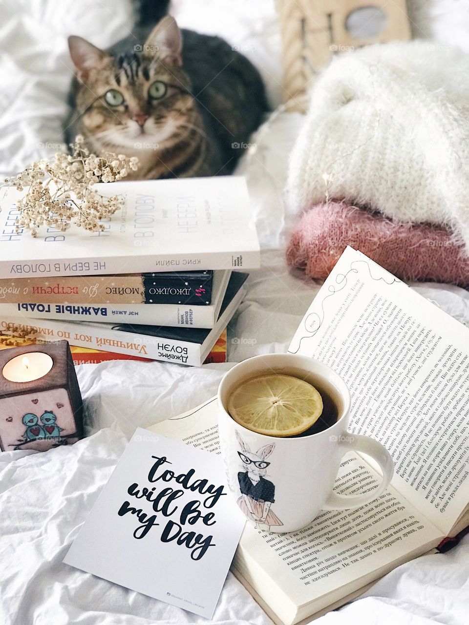 Reading book with tea and cat. Have a good time