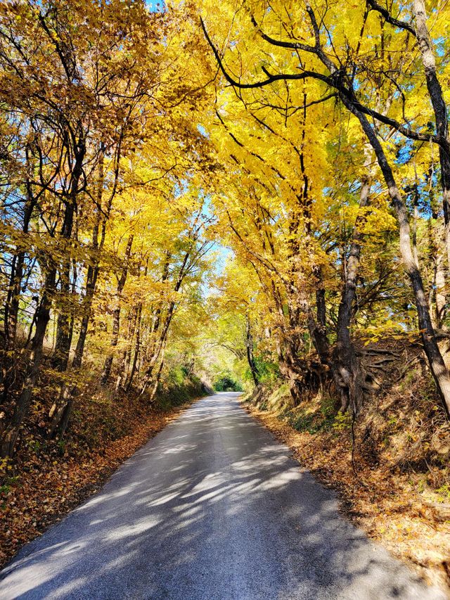 Old Country Road