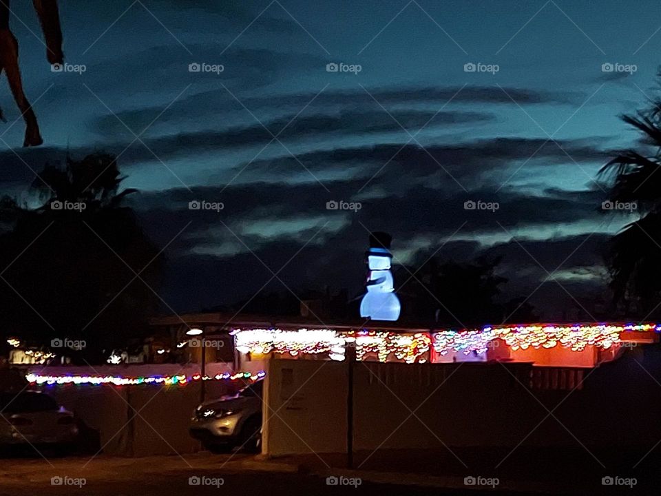 snowman and lights