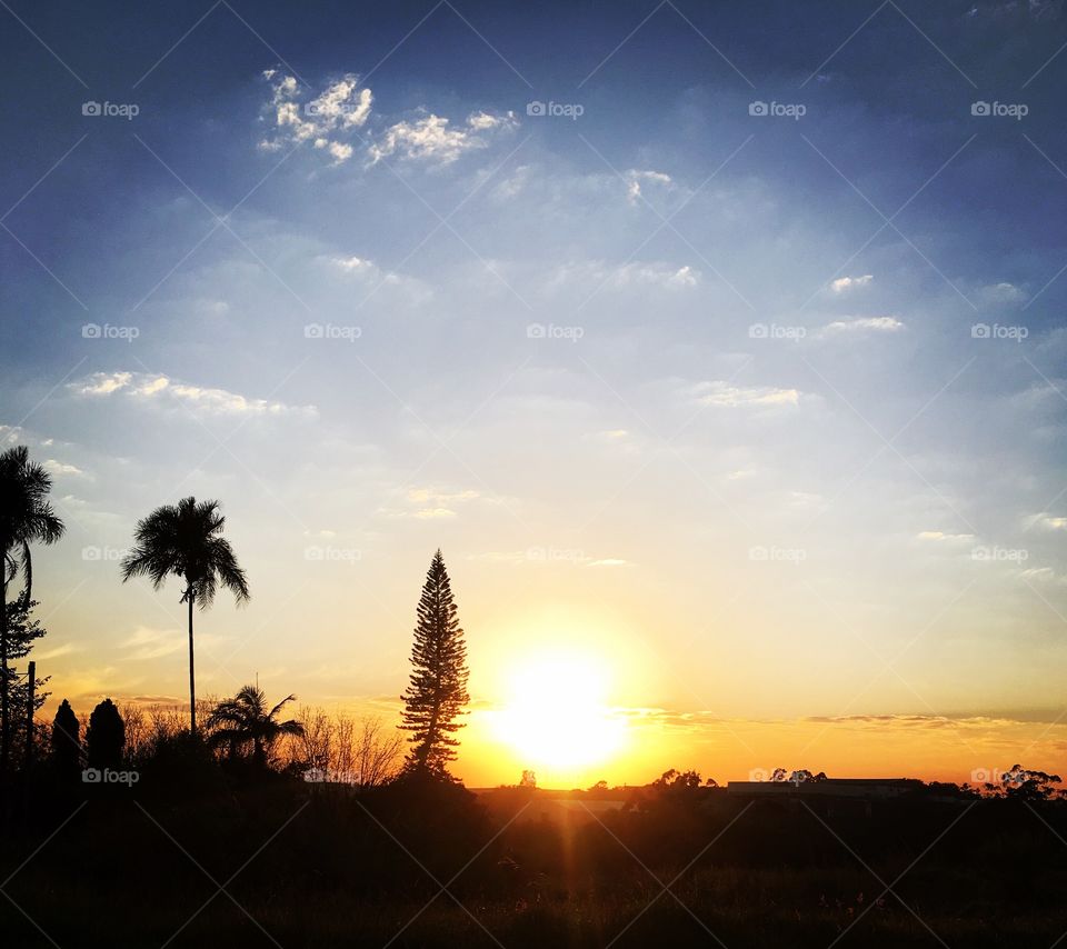 🇧🇷 A natureza nos dá fotografias incríveis. Aqui, o amanhecer na cidade de Jundiaí, Brasil. Olhe o tamanho do sol!!! / 🇺🇸 Nature gives us amazing photographs. Here, the dawn in the city of Jundiaí, Brazil. Look at the size of the sun !!!