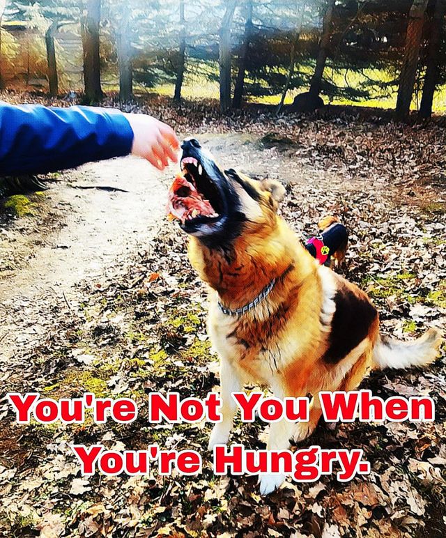 You're Not You When You're Hungry
