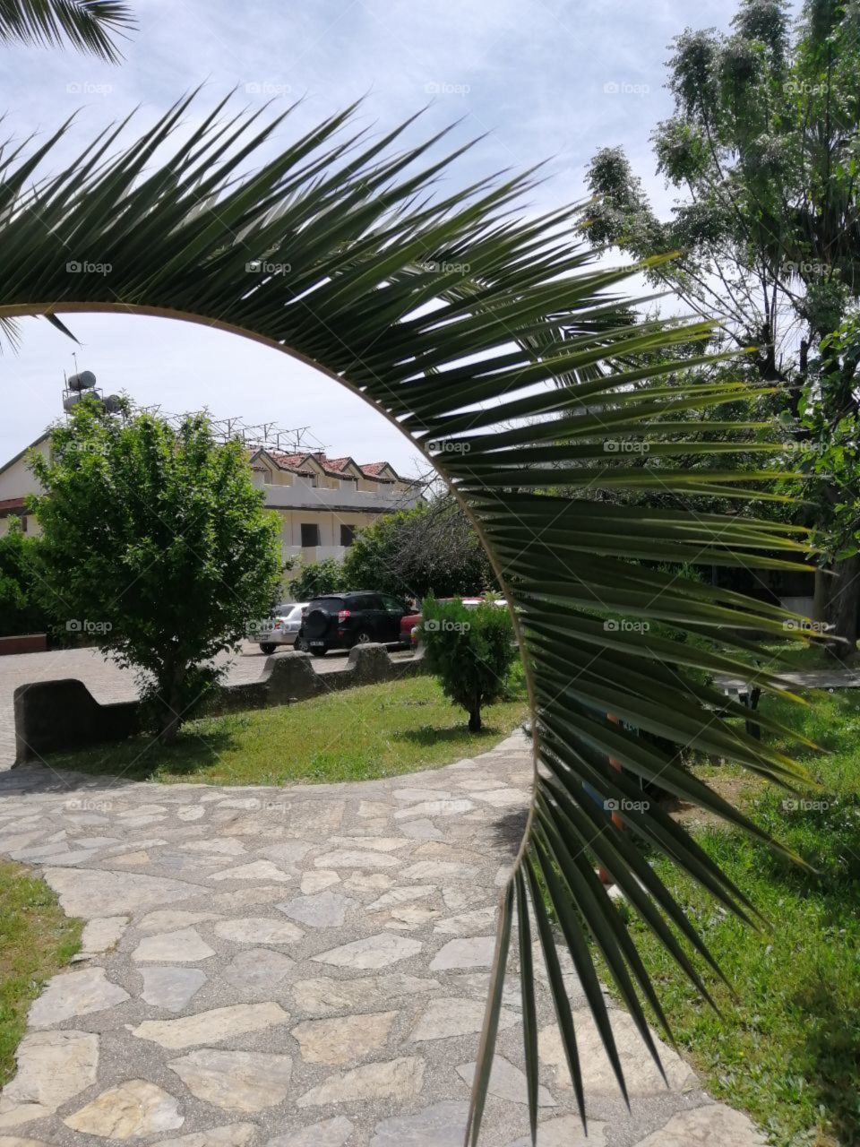 palm branch against the background of the hotel and the stone walkway