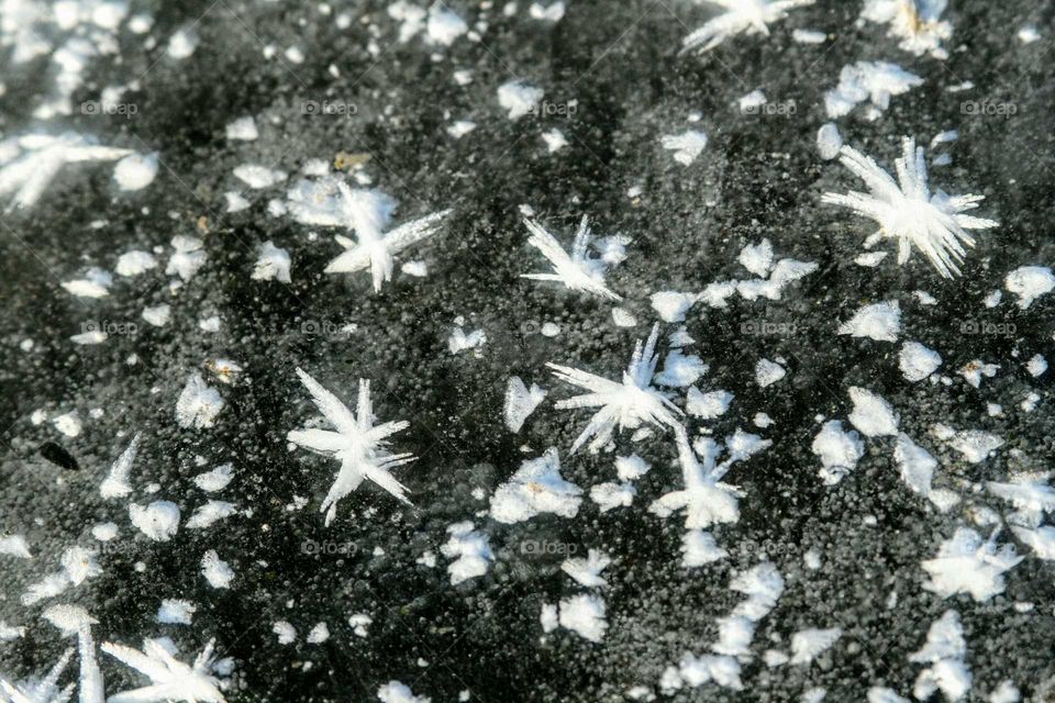 ice crystals on a pond