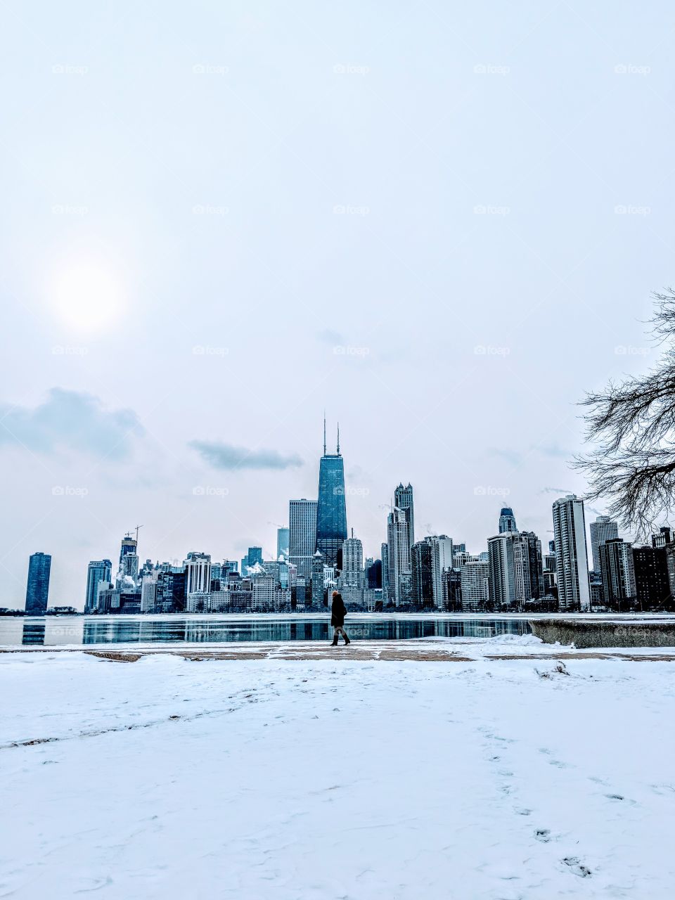 Chicago in the winter