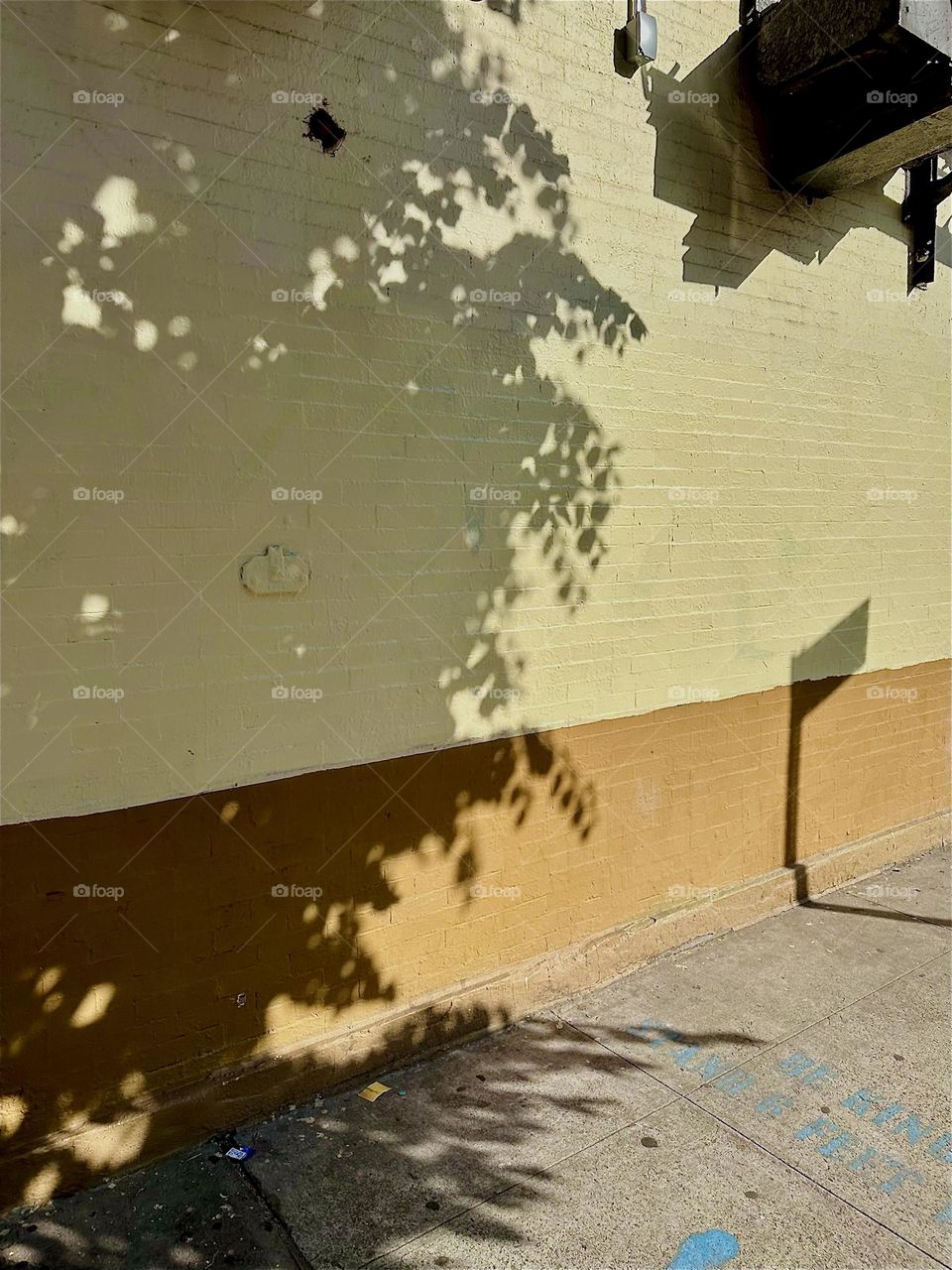 Sometimes shadows speak louder than the actual objects that cast them as is the case here with this tree on „Jefferson Street“ by „Myrtle Avenue” and „Broadway“ in „Bushwick“, Brooklyn. 2024. Hypnotic Productions