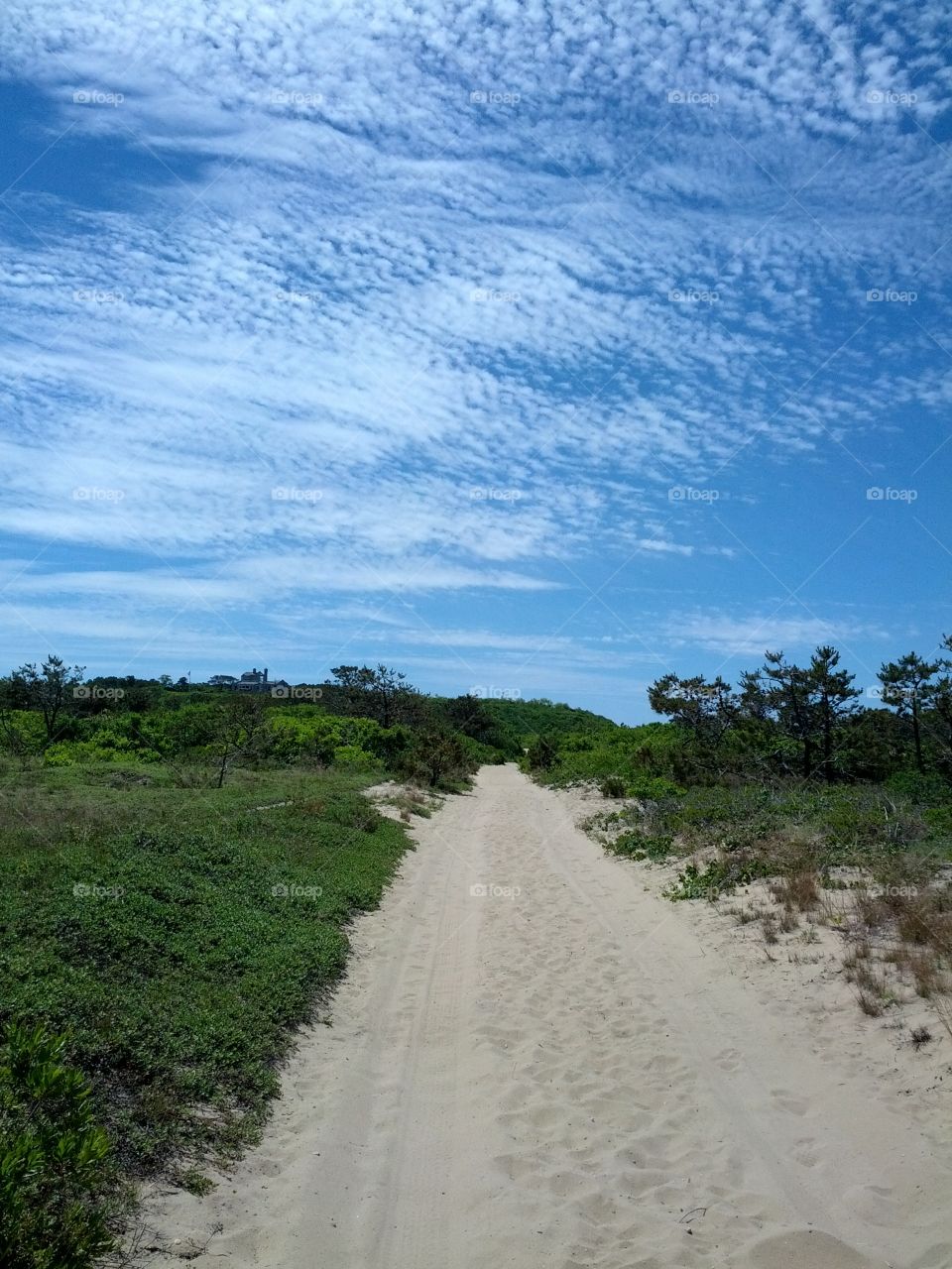 Walk to the beach