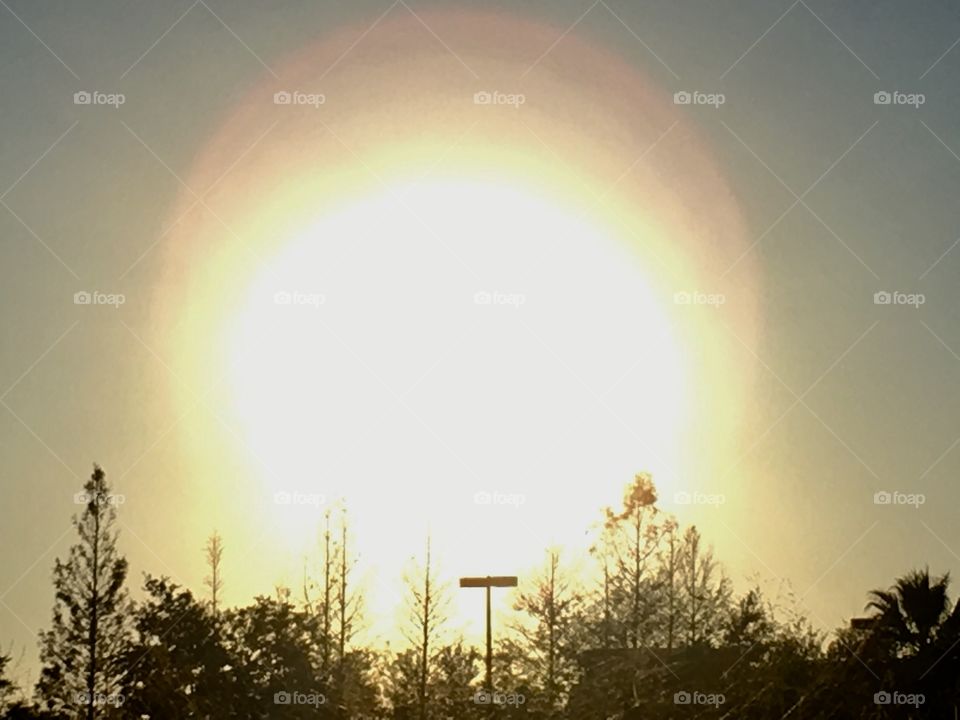 Giant Sun in a Floridan sky