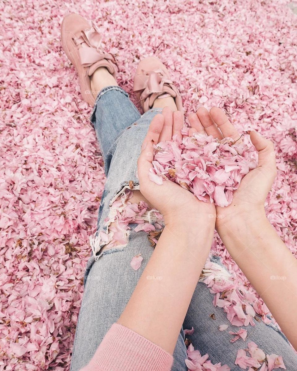 pink carpet, color of spring, nice view, beautiful color