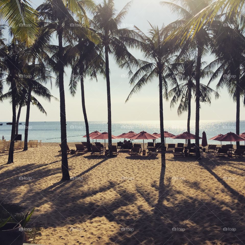 Beach Vietnam
