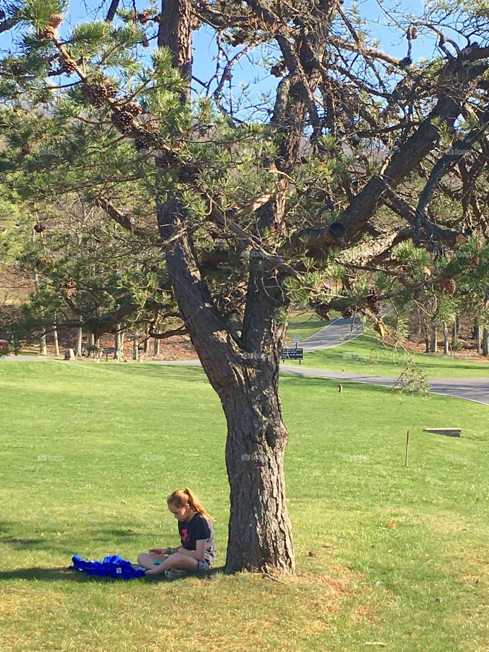 Girl reading under a tree