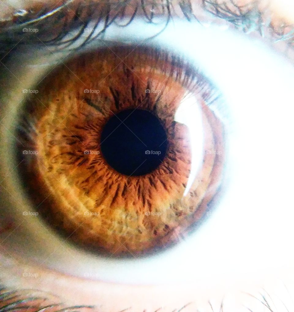 "an eye for an eye makes the whole world blind"