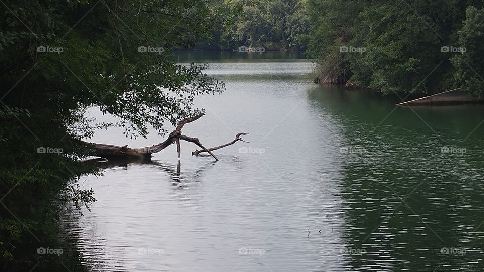 Water, Lake, No Person, River, Nature
