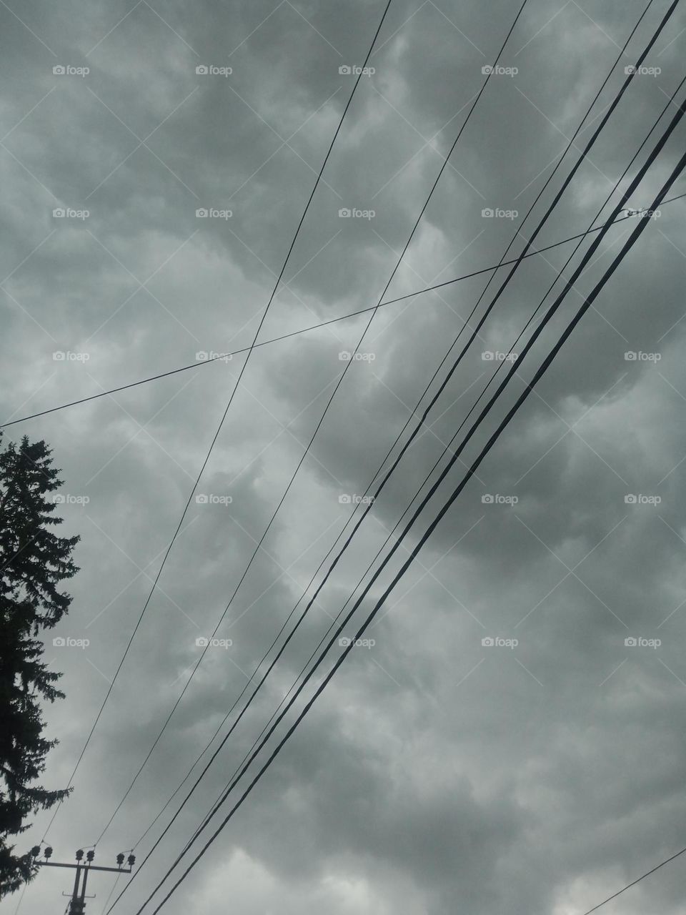 For a moment I raised my head, and above me was a majestic sky, covered with thick dark clouds. Simple and amazing 📷🌫️