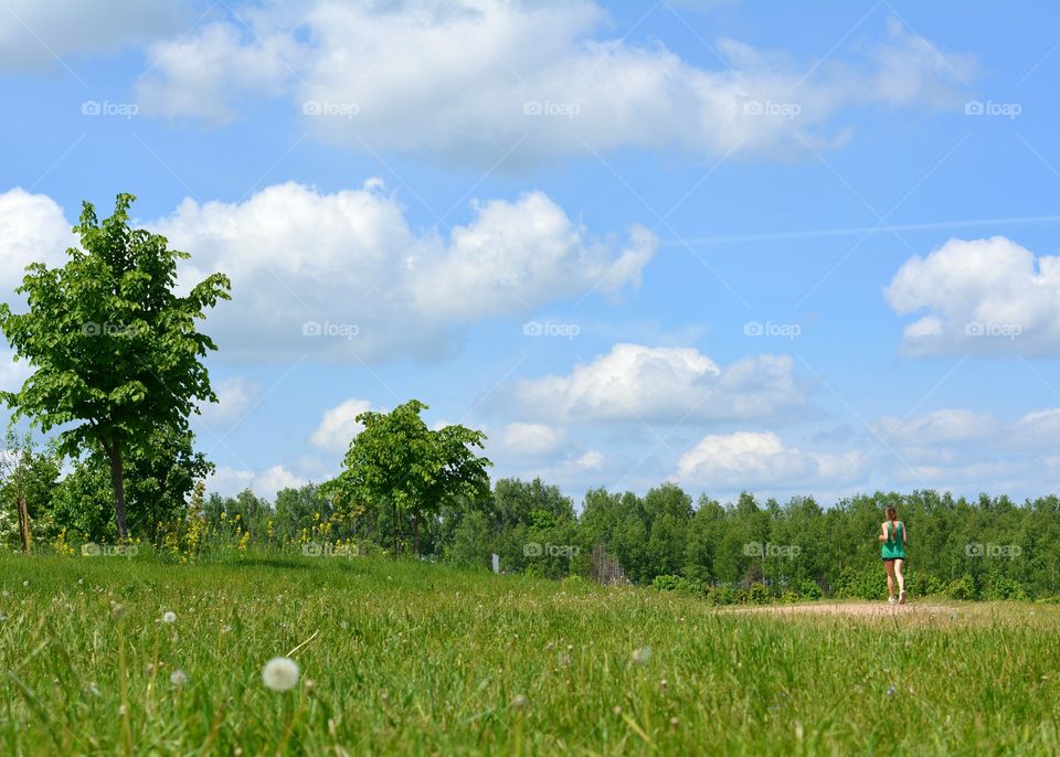 Landscape, Field, Tree, Nature, Grass