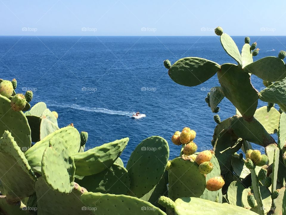 Sea view, Zinzulusa caves zone, Salento, Puglia region, Italy