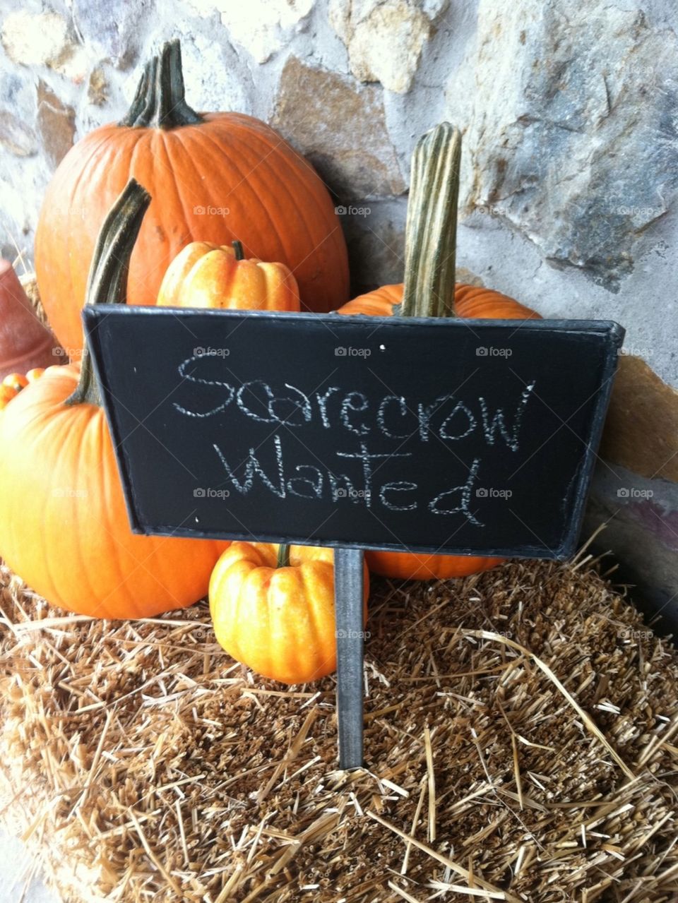Scarecrow wanted