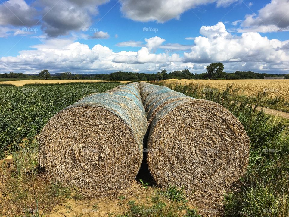 Circular shapes found in the countryside 