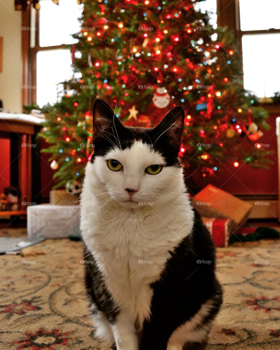 Christmas can be a stressful time, take a break