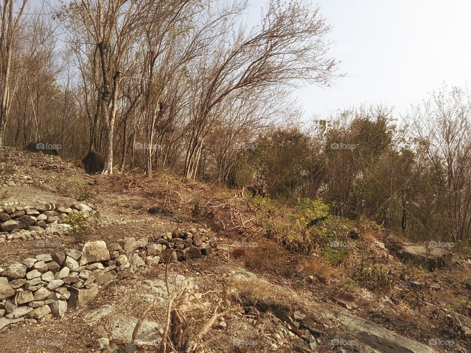 Vacay? Ready, steady, go!