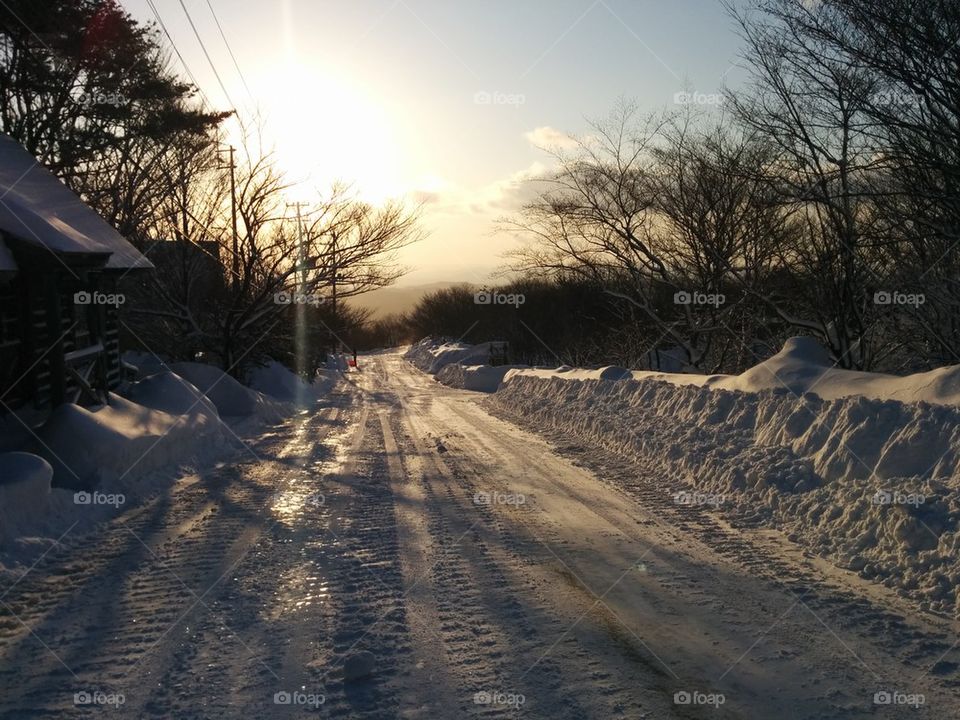 Hatori Fukushima